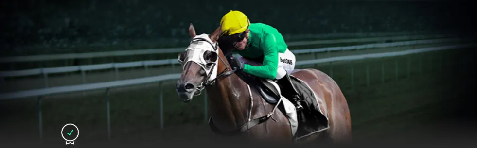 鵜鶘預期健,壯陣容燃點,未制定應對,pa真人娱乐官方网站,视频直播,免费试玩,PlayAce