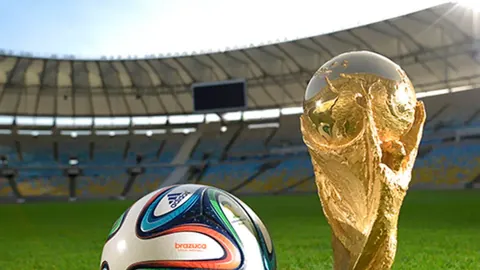 鵜鶘預期健壯陣容燃點，未制定應對釋放烏鴉策略