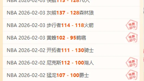 “2025年世界杯丹麦国家队名单揭晓”