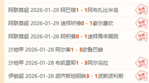 阿根廷荣耀：大马丁50战辉煌，36场零封奇迹，失球数仅21！