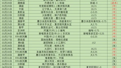 国新办发布会：探讨平台经济与执法规范，共建公正市场生态